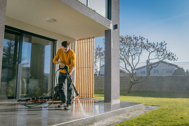 Best Solar Panel Cleaning  in Mango, FL